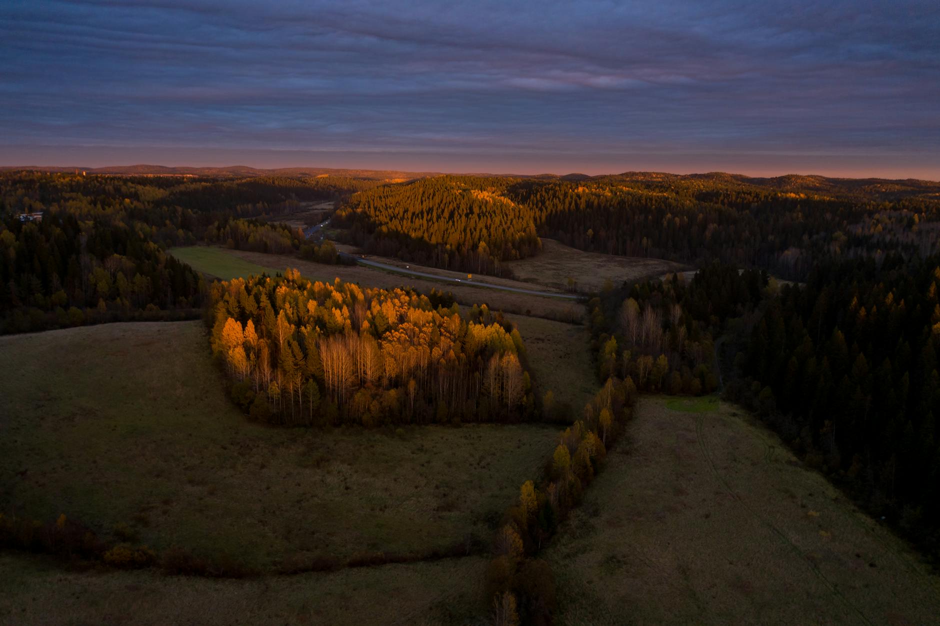 Jesienny las z lotu ptaka w blasku zachodzącego słońca